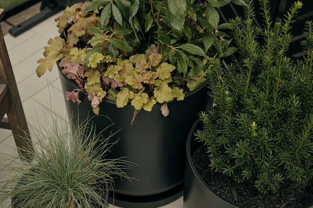 mason planter series