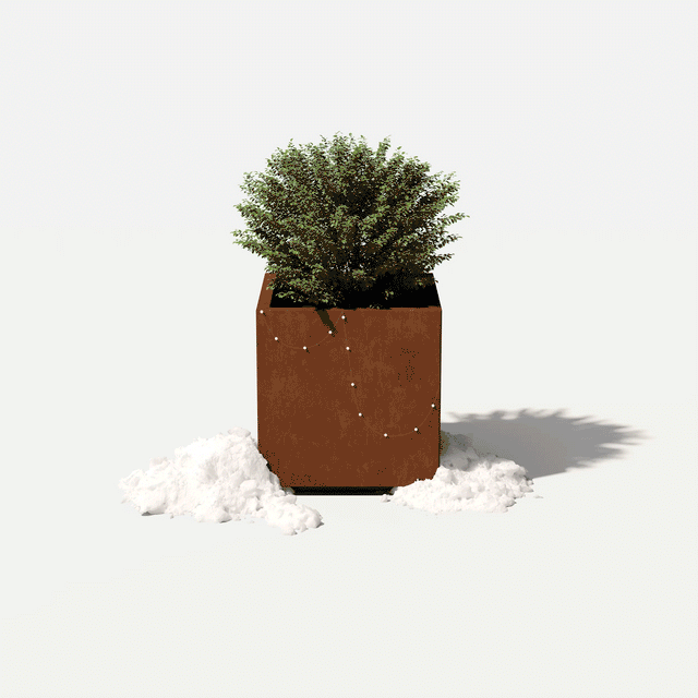 corten cube planter