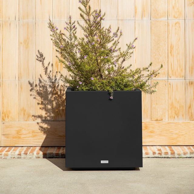 block cube planter