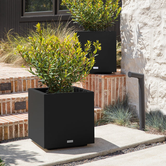 block cube planter