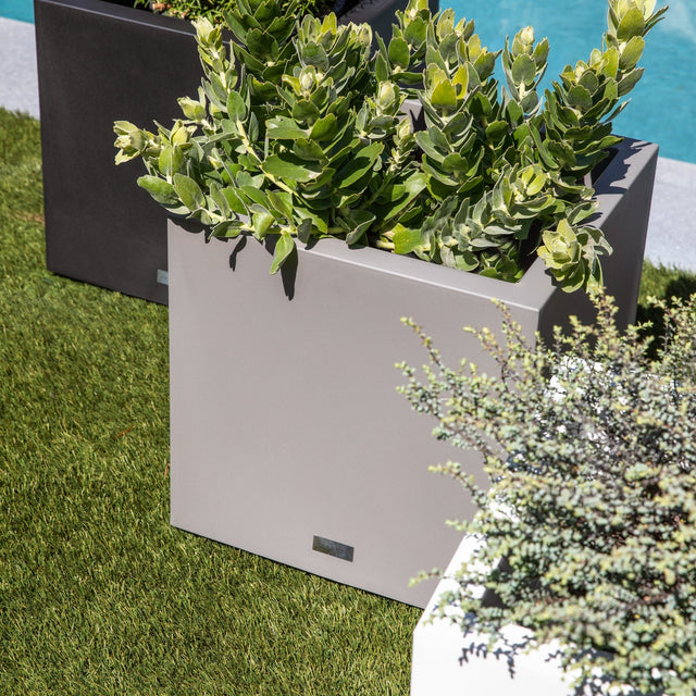 block cube planter