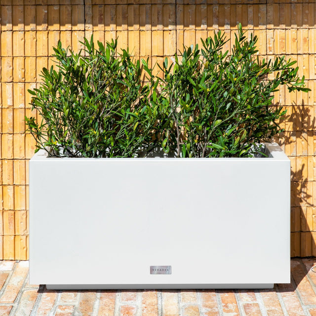 block long box planter