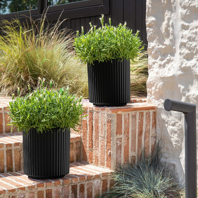 demi planter