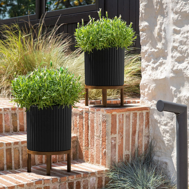 demi raised planter