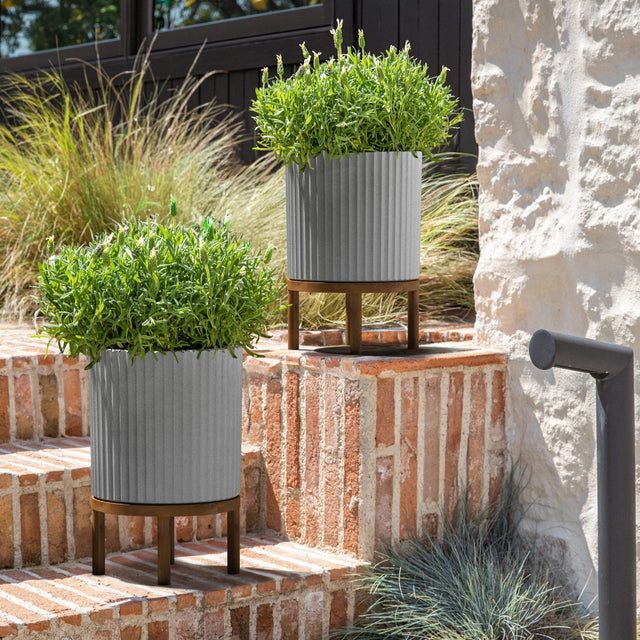 demi raised planter