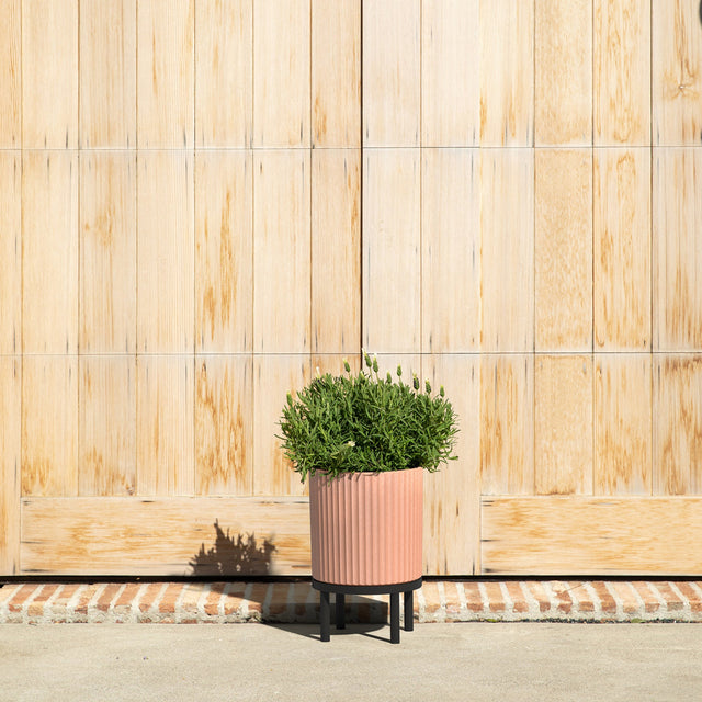 demi raised planter