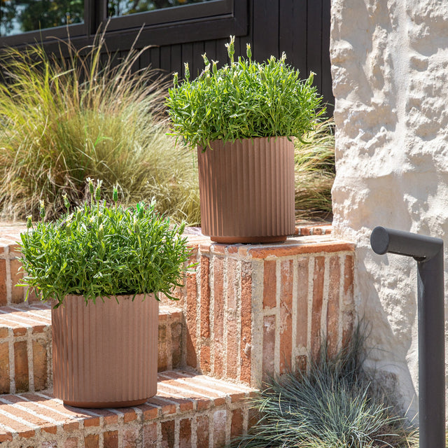 demi planter