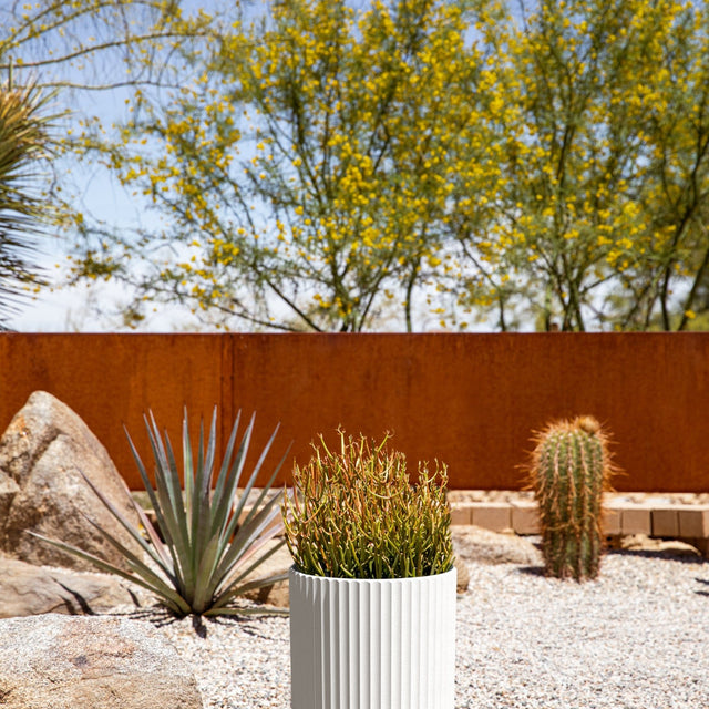 demi planter