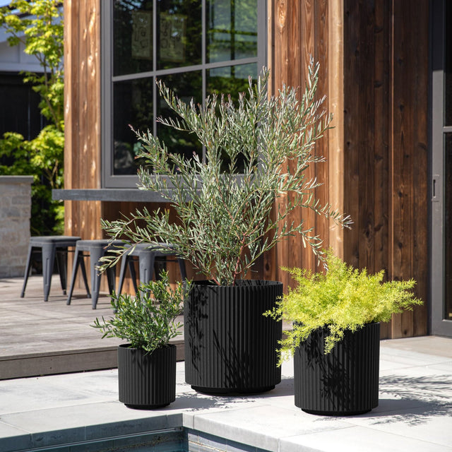 demi planter trio