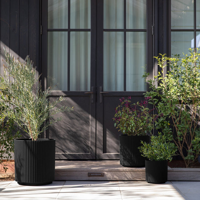 demi planter trio