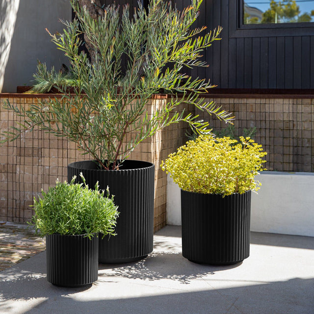demi planter trio