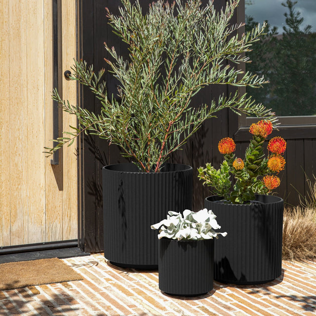 demi planter trio