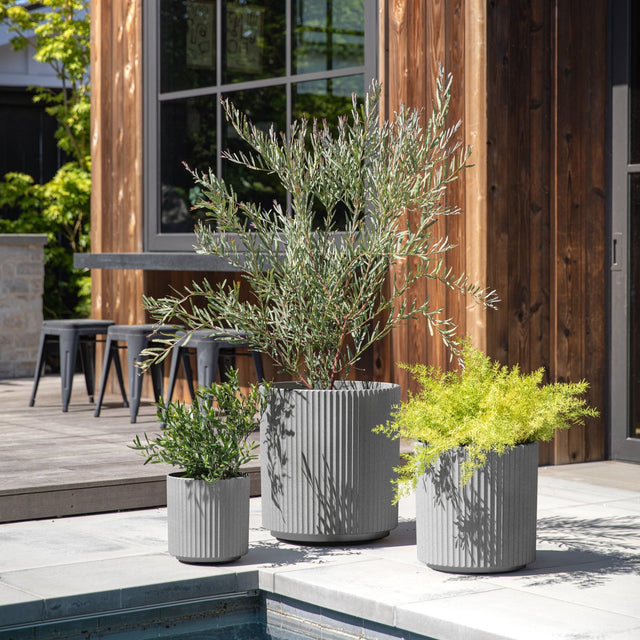 demi planter trio