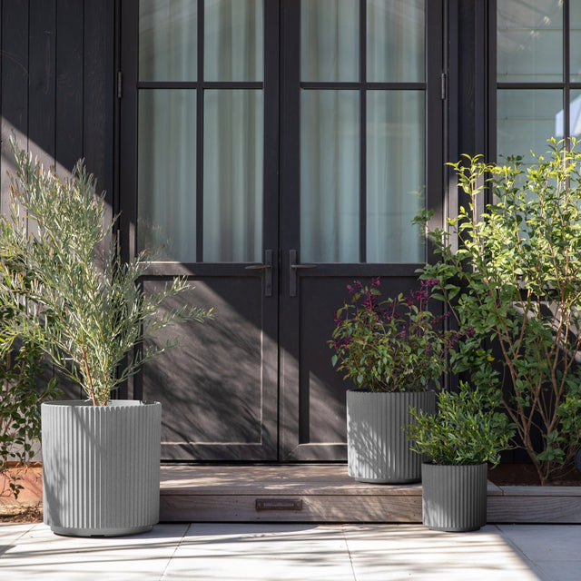 demi planter trio