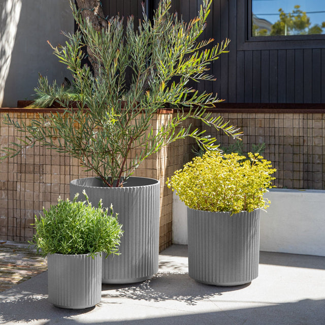 demi planter trio