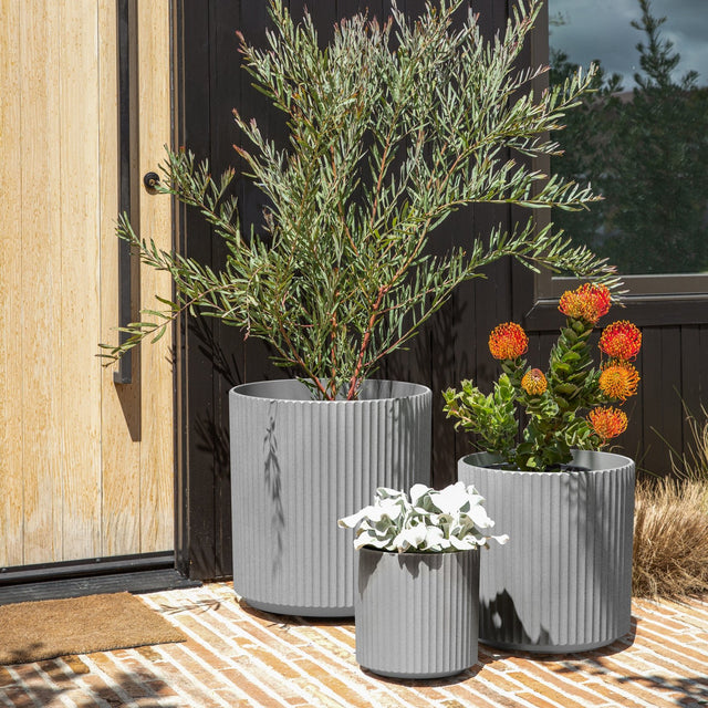 demi planter trio