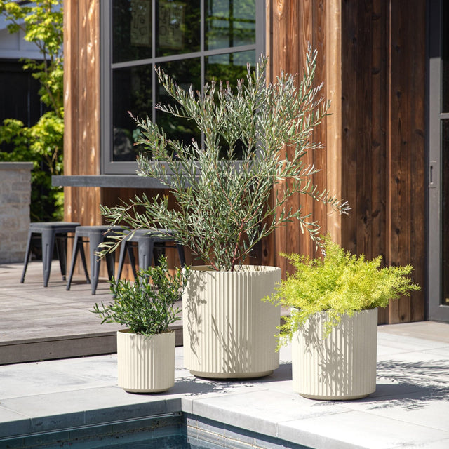 demi planter trio