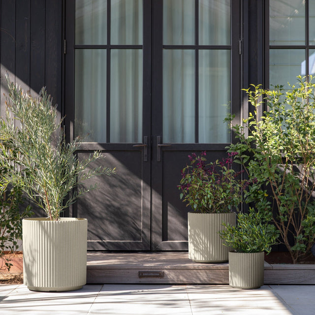 demi planter trio
