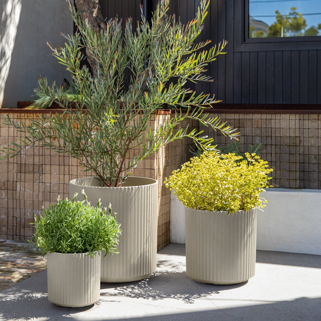 demi planter trio
