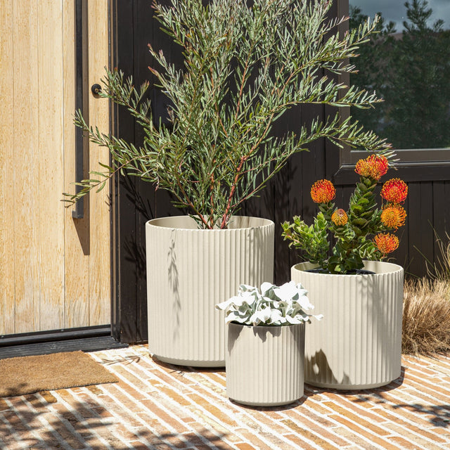 demi planter trio