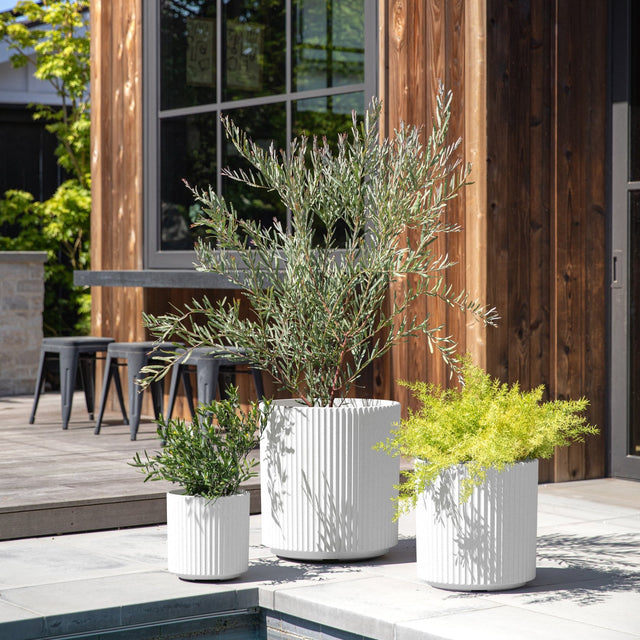 demi planter trio