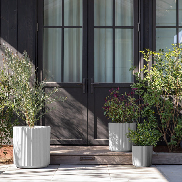 demi planter trio