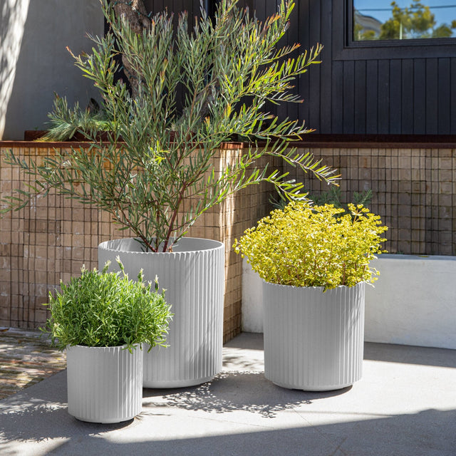 demi planter trio