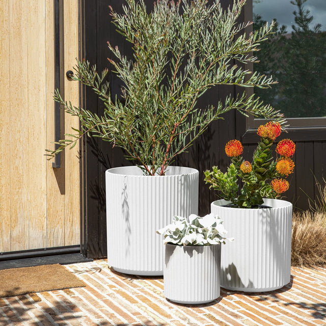 demi planter trio