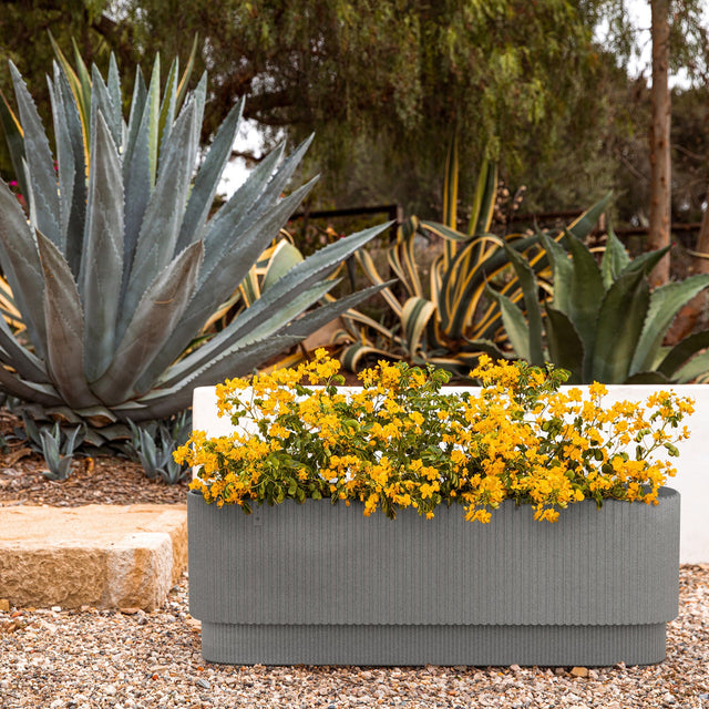 demi garden bed