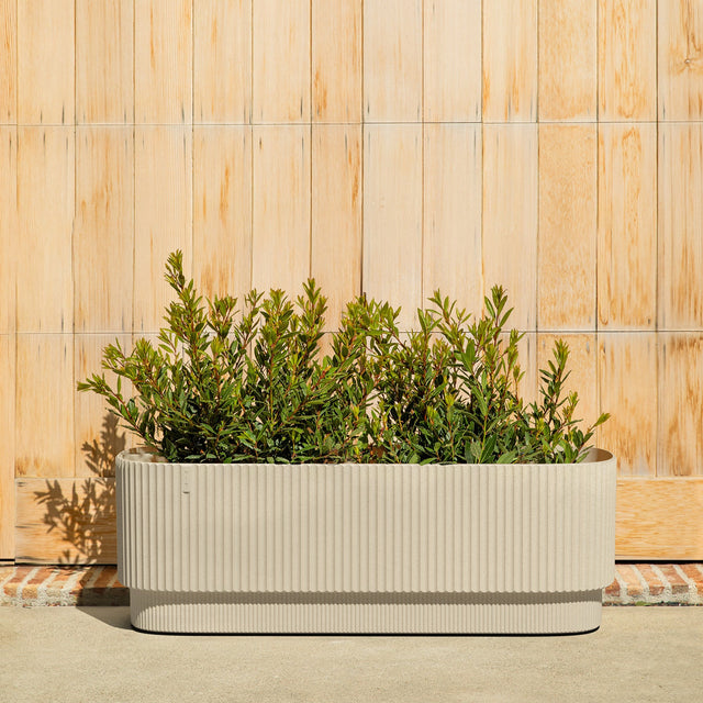 demi garden bed