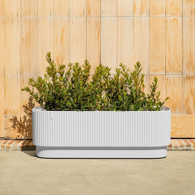 demi garden bed