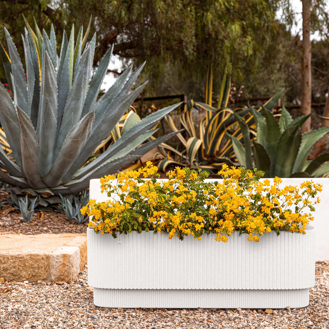 demi garden bed