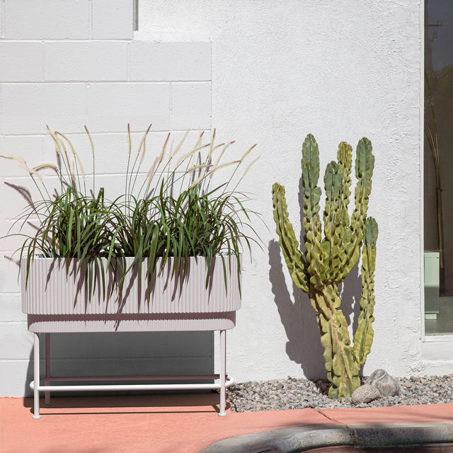 demi raised garden bed