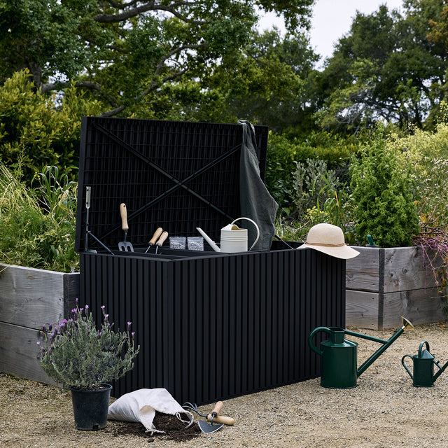 everything box surrounded by gardening tools and plants