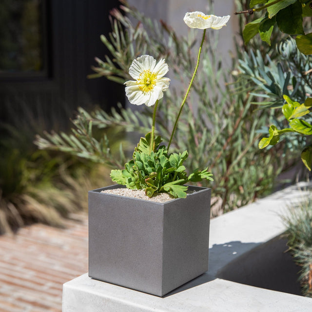 geo cube planter