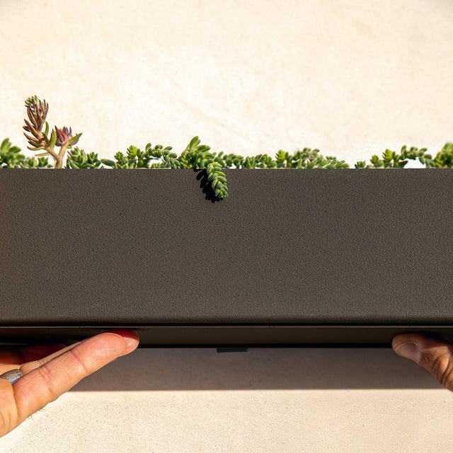 geo hanging trough planter