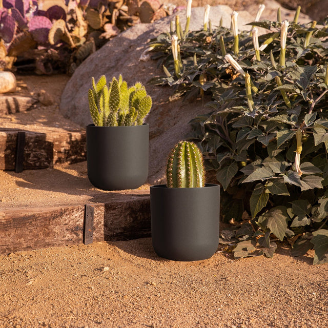 mason kona planter