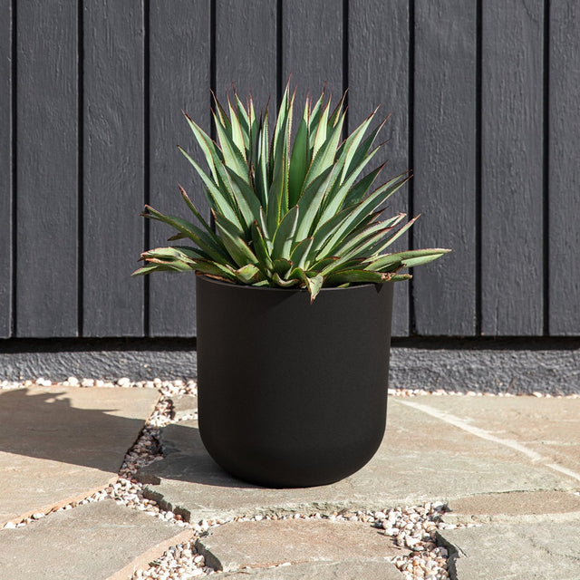 mason kona planter