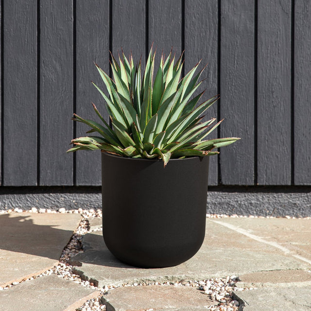 mason kona planter