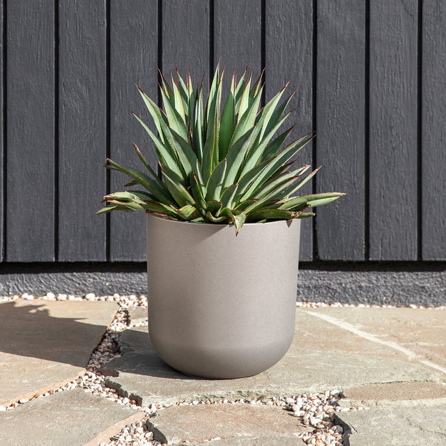 mason kona planter