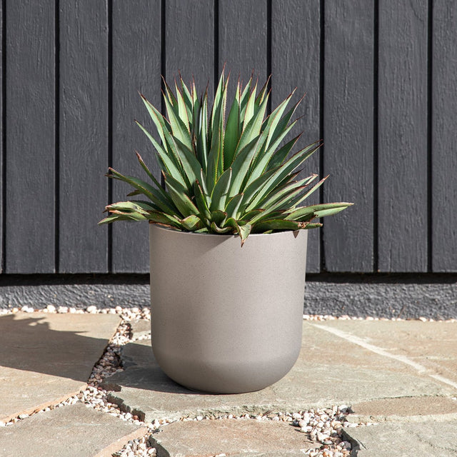 mason kona planter