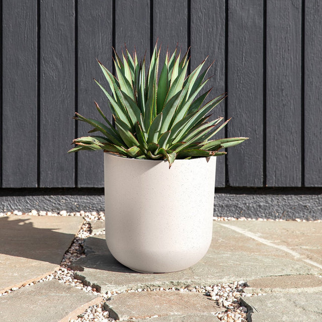 mason kona planter