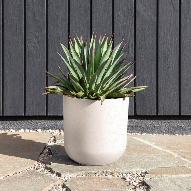 mason kona planter