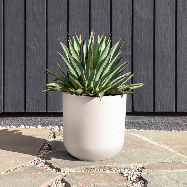 mason kona planter