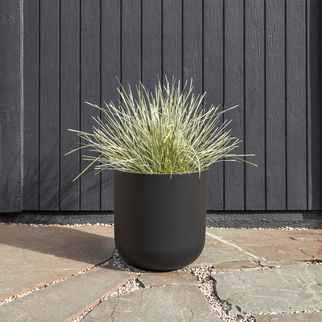 mason kona planter