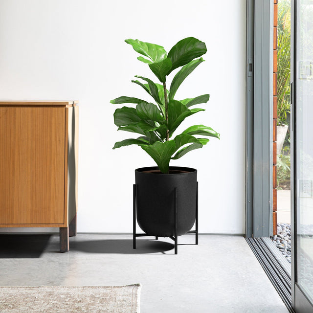 mason raised kona planter