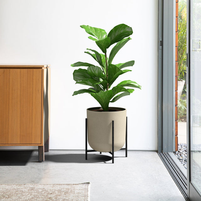 mason raised kona planter