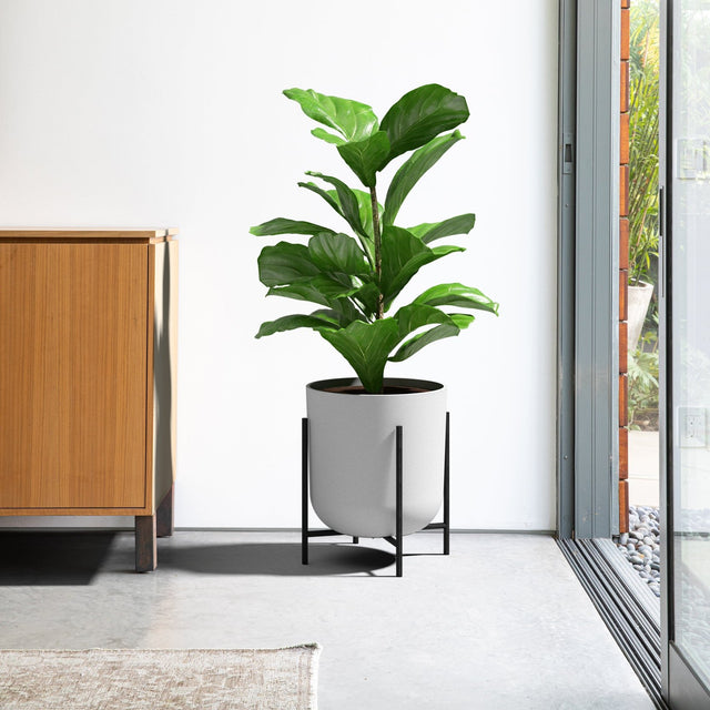 mason raised kona planter