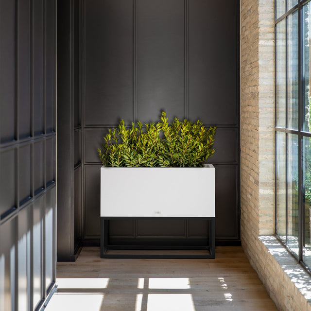 block raised long box planter