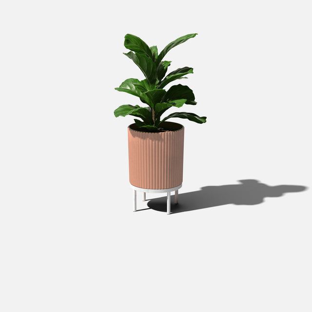 demi raised planter